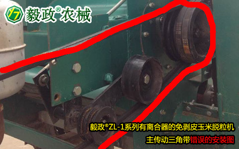 毅政牌ZL1系列有離合器的免剝皮玉米脫粒機，主傳動三角帶錯誤安裝